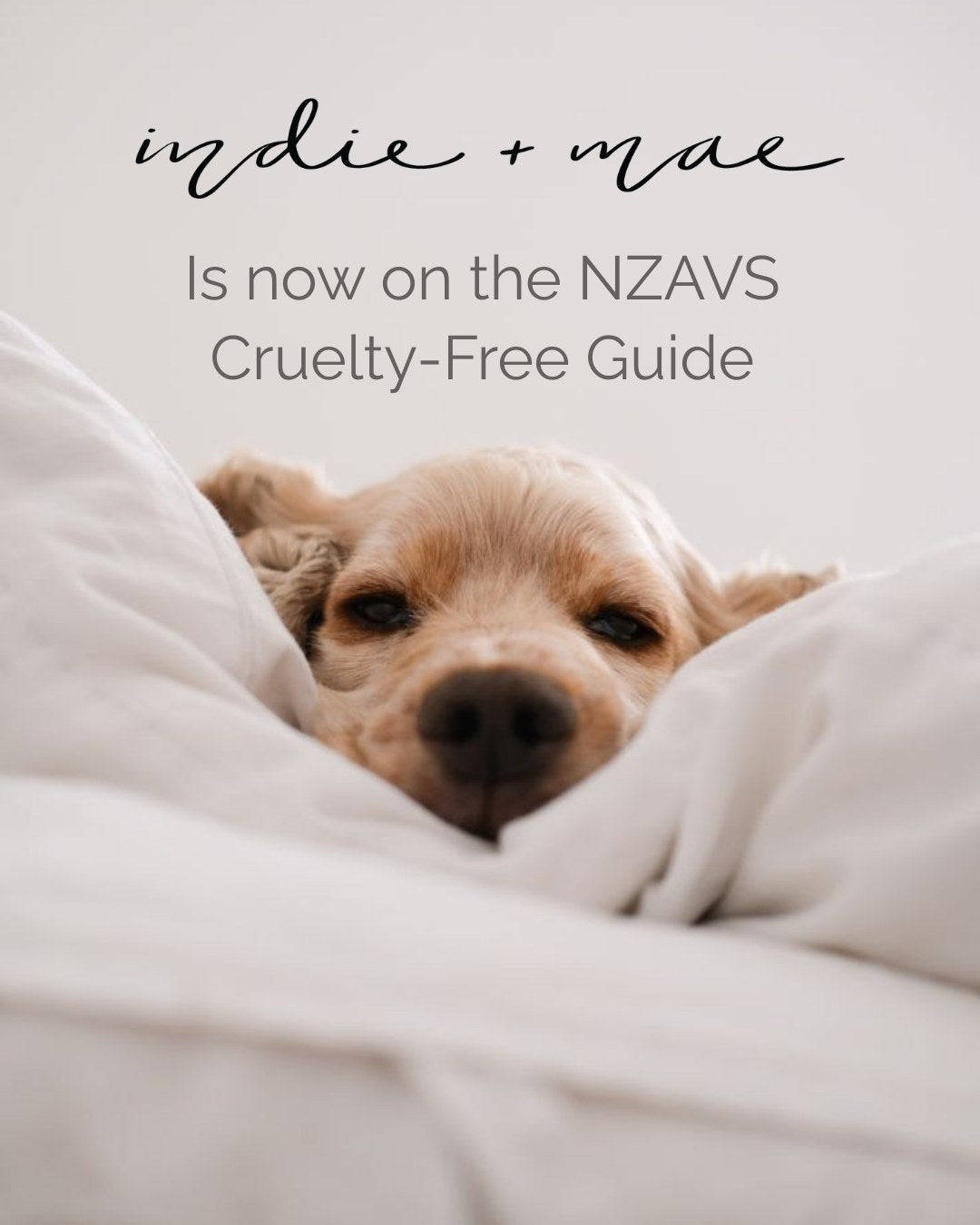 Why We’re So Proud to Be Part Of Cruelty-Free Beauty