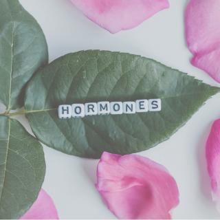 What Your Skin Is Trying to Tell You About Your Hormones